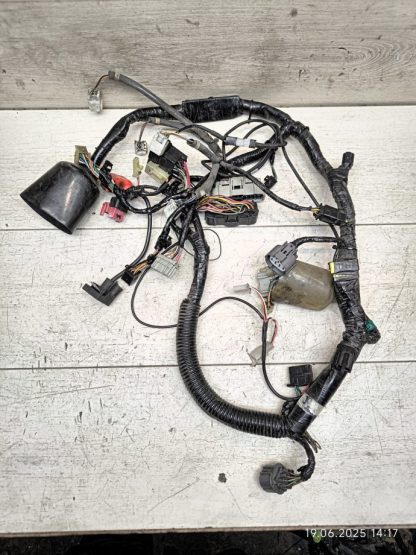 Проводка в сборе Honda CBR600F4i
