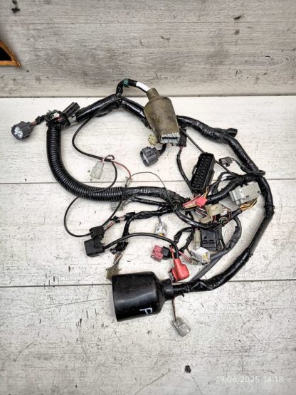 Проводка в сборе Honda CBR600F4i — изображение 2