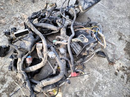 Проводка Honda GL1800 (2001-2010) — изображение 4