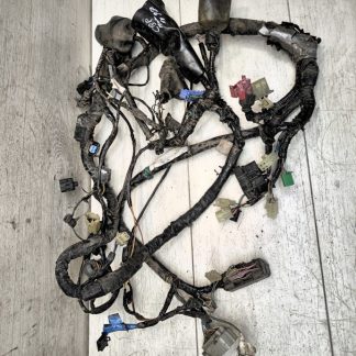 Проводка Honda CBR1100XX (1999-2000)