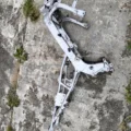 Рама с документами Honda CBR600F3