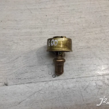 Термостат Triumph TT600 (2000-2003)